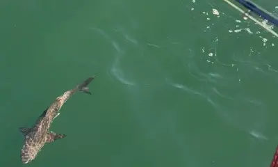 Tampa Report Video 0