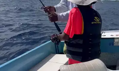 West Bay Report Video 0