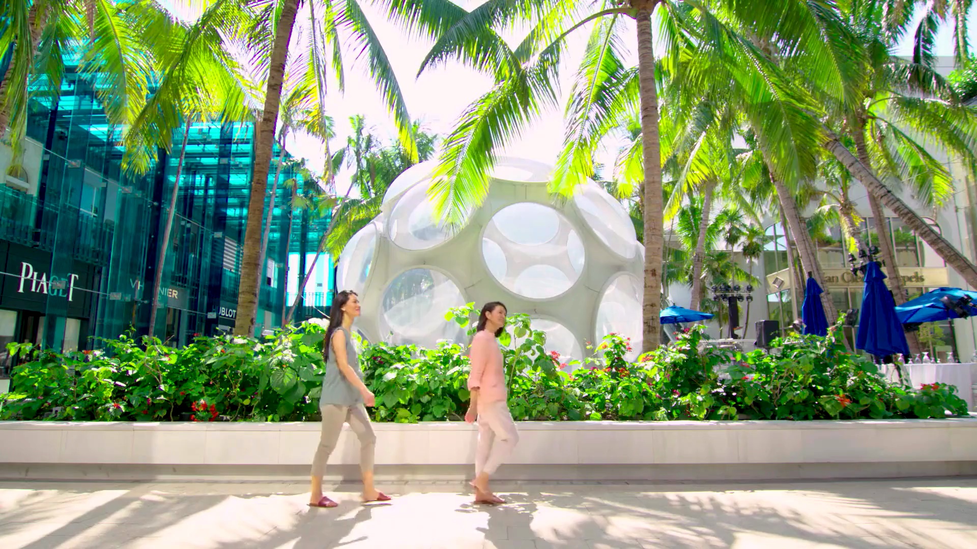 マイアミの近隣地域 | Miami & Miami Beach