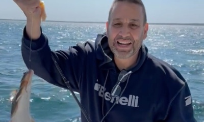 Dennis Report Video 0