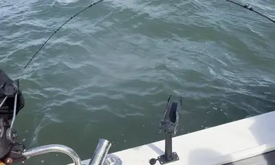 San Pablo Bay Report Video 1
