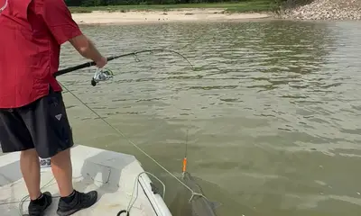 West Livingston Report Video 1
