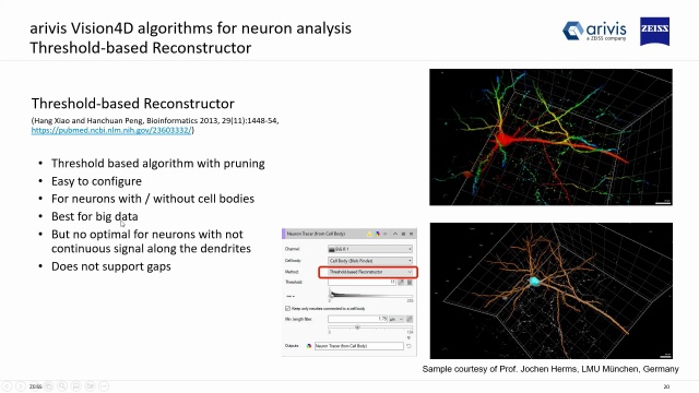 Optimizing Neuroscience Imaging with ZEISS & Arivis