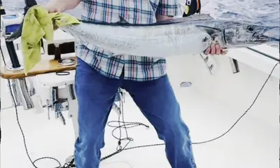 Rapport vidéo Sandys 4