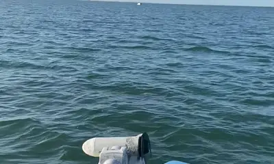 St. Petersburg Report Video 0