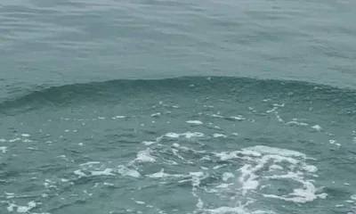 Nokomis Report Video 1