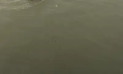 Venice Report Video 0