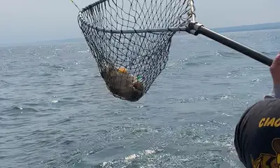 Erie Report Video 0