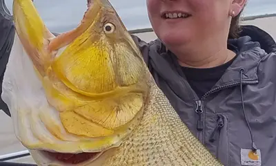 Tigre Report Video 0