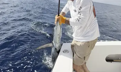 look no further\u2026\u2026 top notch crew.