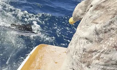 West Palm Beach Report Video 0