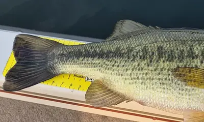 Prior Lake Izveštaj Video 0