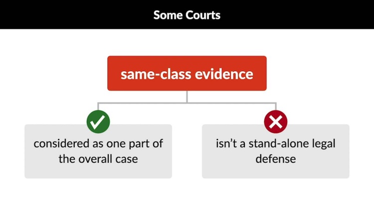 Employment Law Videos: Special Issues and Remedies in Disparate