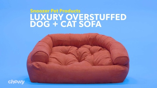 Kiezen domesticeren Dat SNOOZER PET PRODUCTS Luxury Overstuffed Cat & Dog Bed w/Removable Cover,  Black, X-Large - Chewy.com