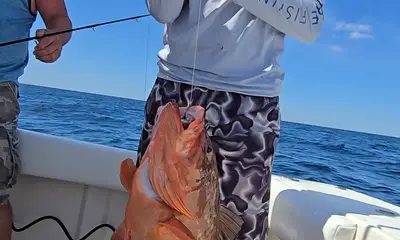 Panama City Beach Report Video 0