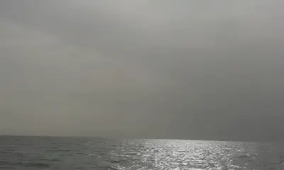 Midway Report Video 0