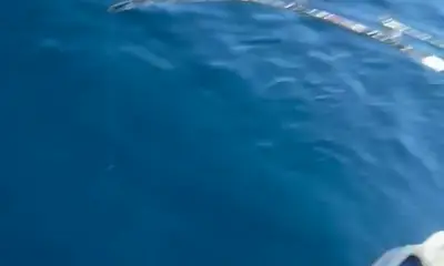 Barcelona Video Report 0