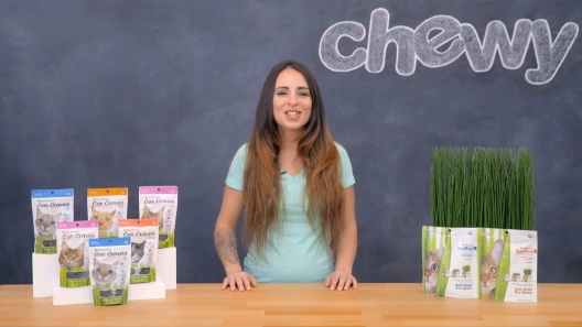 Play Video: Learn More About Pet Greens From Our Team of Experts