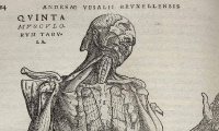 What was the reception and impact of Vesalius in England?