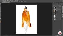 Lesson image