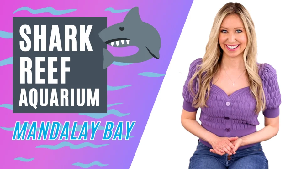 Shark Reef Aquarium Review - Take a Look Inside!