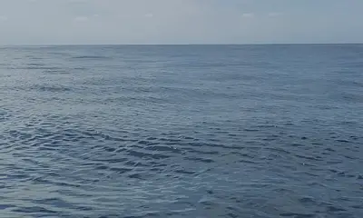 Sayulita Report Video 1