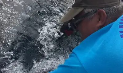 Puerto Vallarta Report Video 0