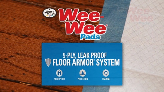 Play Video: Learn More About Wee-Wee From Our Team of Experts