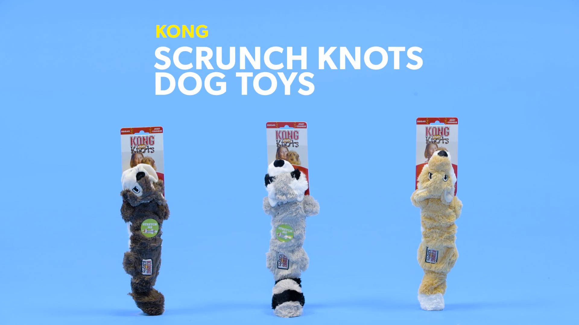 Small/Medium by KONG KONG Scrunch Knots Raccoon Dog Toy
