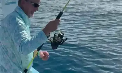 Playa Del Carmen Report Video 0