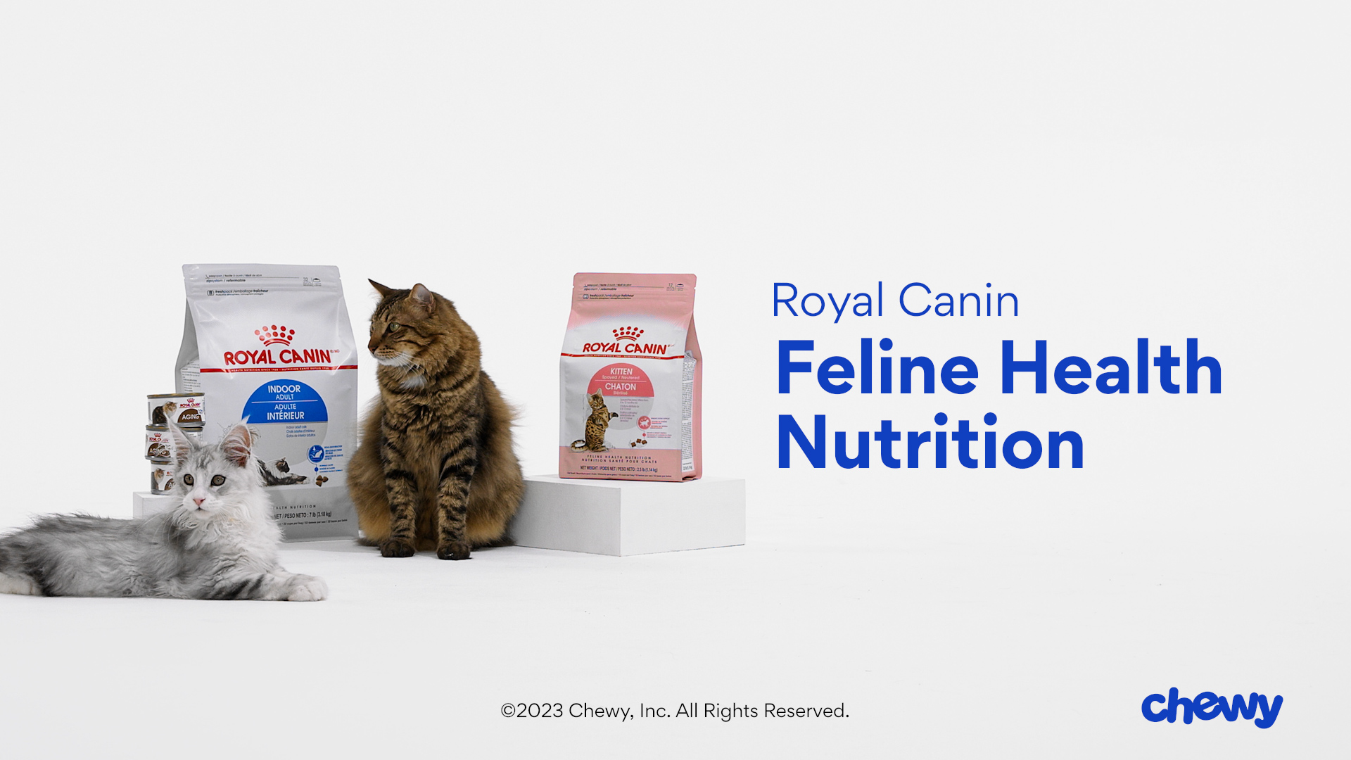 Chewy royal canin dry hotsell cat food