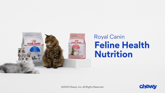 Play Video: Learn More About Royal Canin From Our Team of Experts