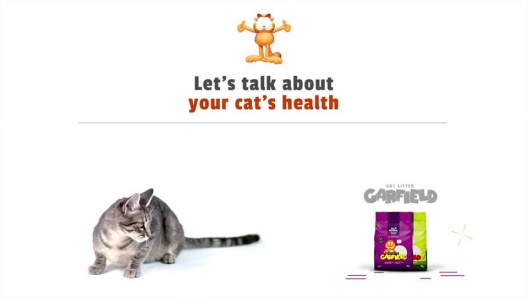 Play Video: Learn More About Garfield Cat Litter From Our Team of Experts