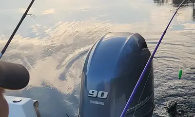 Barrion birthday trip