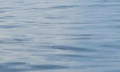 Panama City Report Video 1