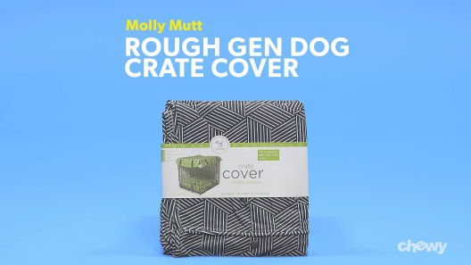 Play Video: Learn More About Molly Mutt From Our Team of Experts