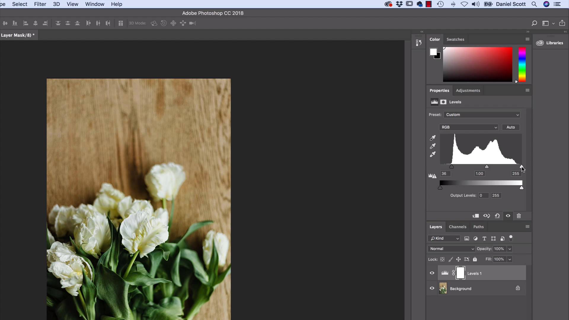 learn to use photoshop for beginners