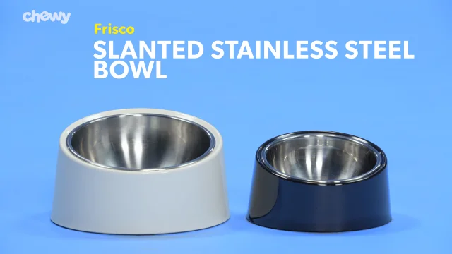 can dogs be allergic to stainless steel bowls