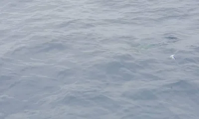 Melbourne Beach Report Video 0