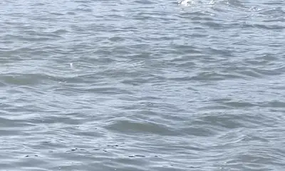 Great fishing charter 