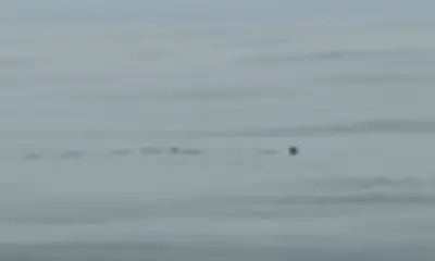 Freeport Видео отчет 0
