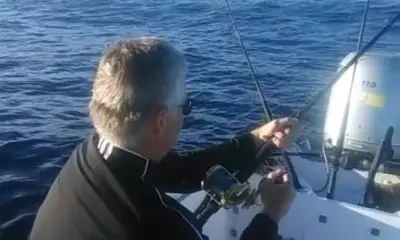 San Jose del Cabo Report Video 0