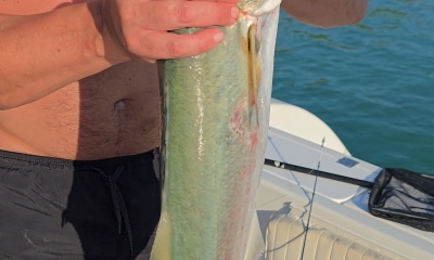 Fishing with Dilan