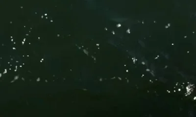 Biloxi Report Video 1