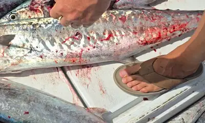 Pompano Beach Report Video 0