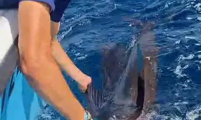 Tamarindo Report Video 0