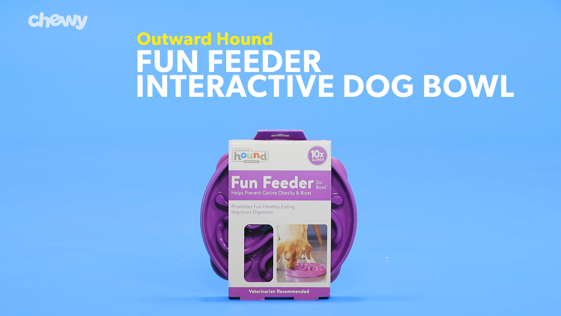 OUTWARD HOUND Fun Feeder Interactive Dog Bowl Purple 2 cup Chewy