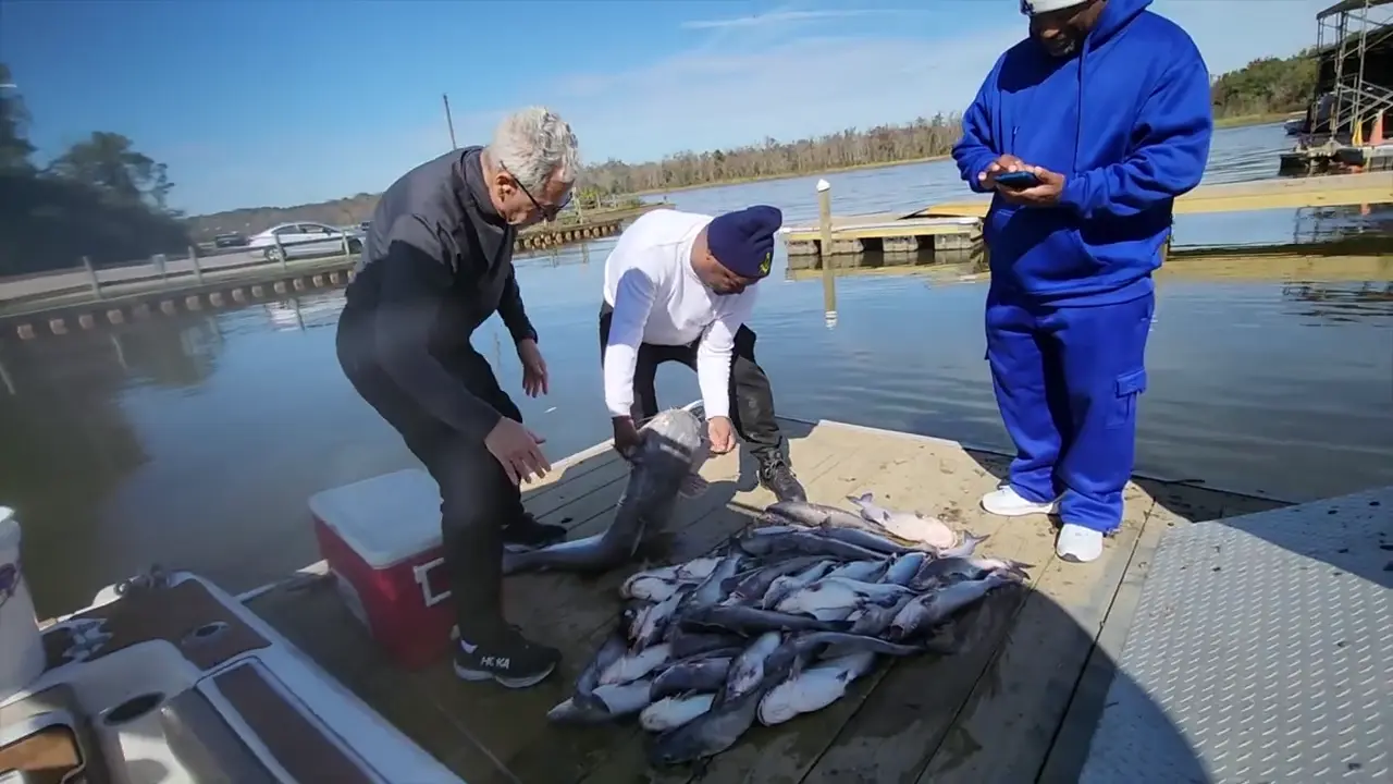 Business Card: Drag Taker Fishing Charter