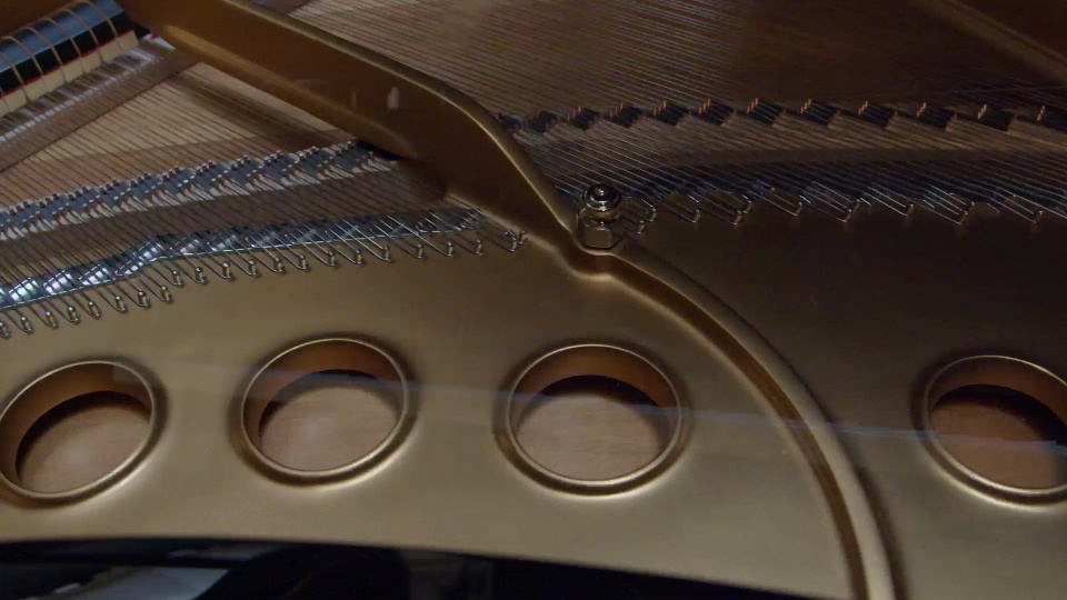 2021 Steinway Grand M Spirio