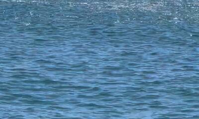 Crazy top water